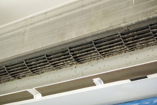 Best Dryer Vent Cleaning Services  in West Rson, CA